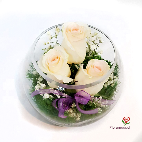 Fina presentacin de tres rosas seleccionadas con follajes finos y paniculata blanca. Slo Santiago. Seleccione color de rosas
